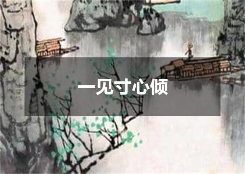 一见寸心倾