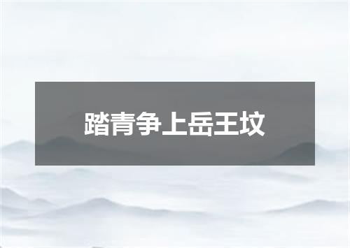踏青争上岳王坟