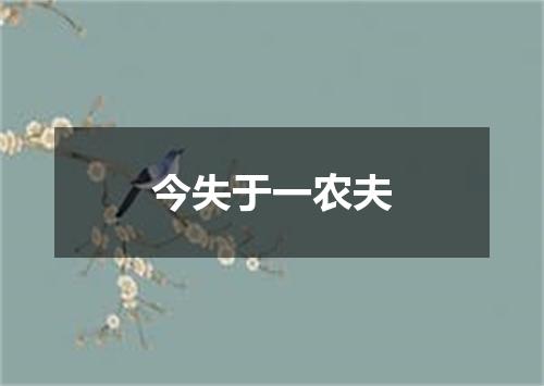 今失于一农夫