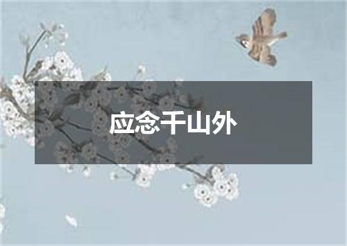 应念千山外