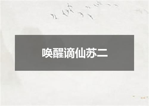 唤醒谪仙苏二