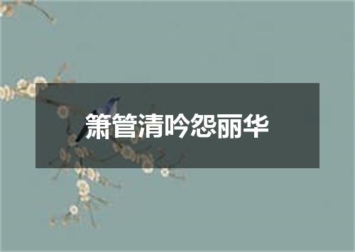 箫管清吟怨丽华