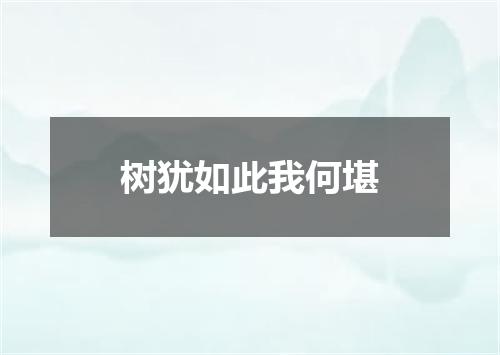 树犹如此我何堪