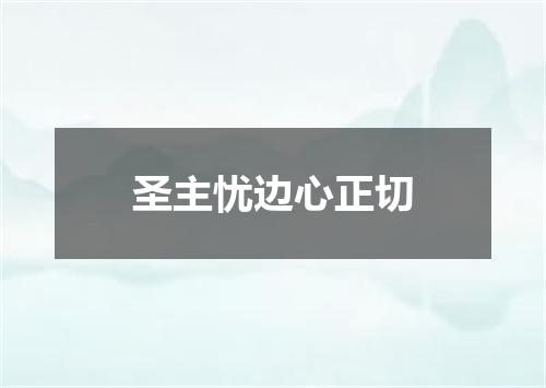 圣主忧边心正切