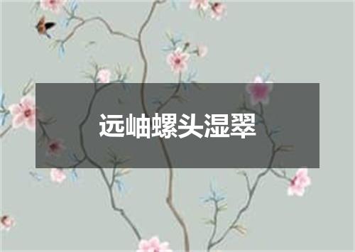 远岫螺头湿翠