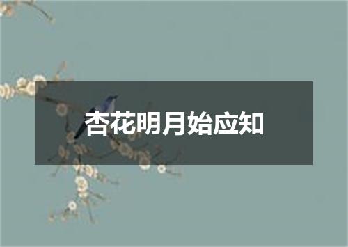 杏花明月始应知