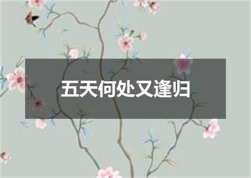 五天何处又逢归