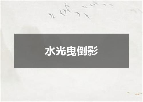 水光曳倒影