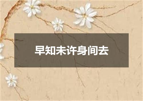 早知未许身间去