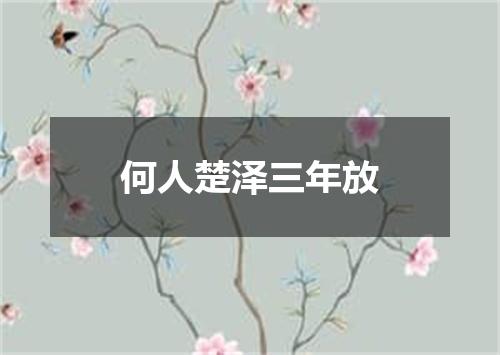 何人楚泽三年放