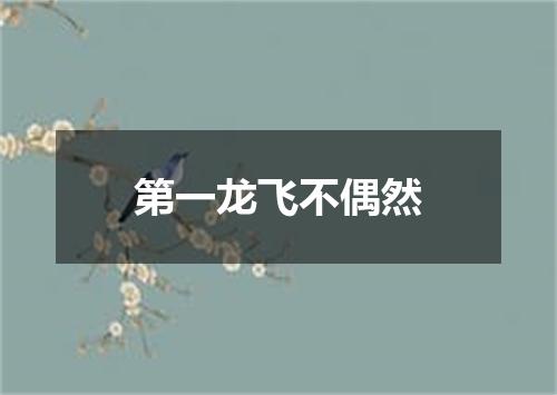 第一龙飞不偶然