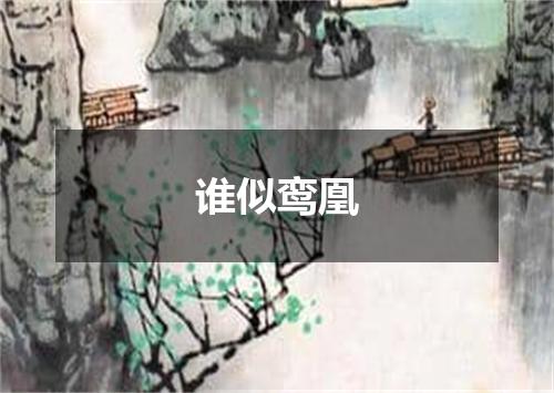 谁似鸾凰