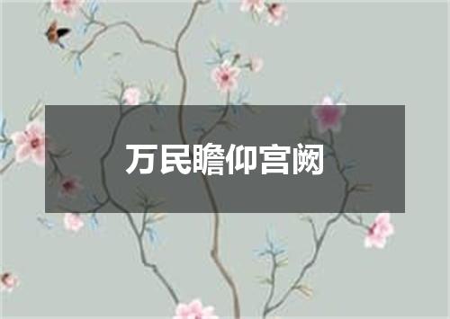 万民瞻仰宫阙