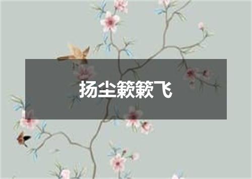 扬尘簌簌飞