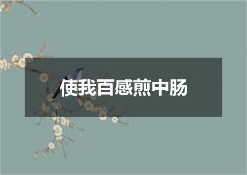 使我百感煎中肠