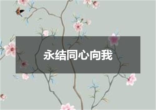 永结同心向我