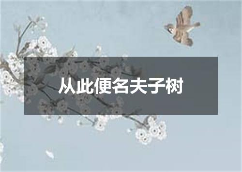 从此便名夫子树