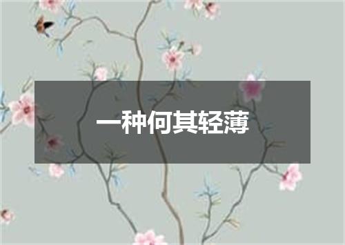 一种何其轻薄