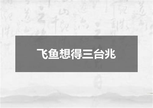 飞鱼想得三台兆