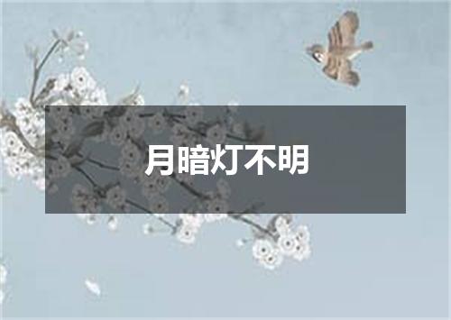 月暗灯不明