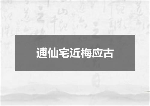 逋仙宅近梅应古