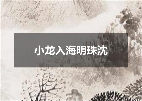 小龙入海明珠沈