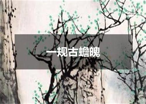 一规古蟾魄