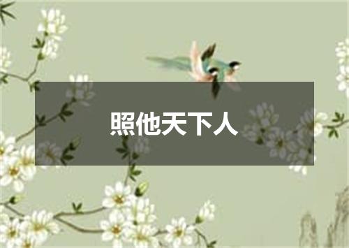 照他天下人