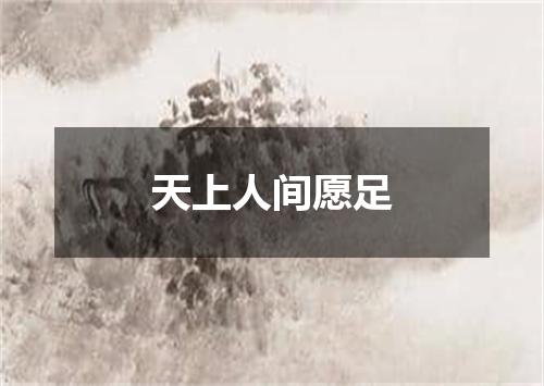 天上人间愿足