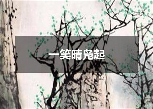 一笑晴凫起