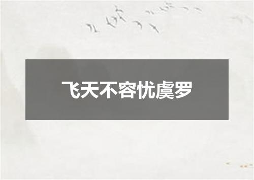 飞天不容忧虞罗