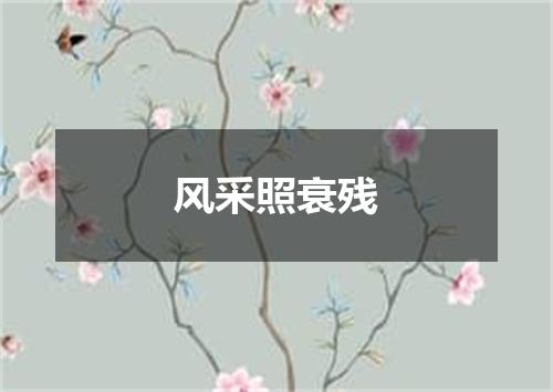风采照衰残