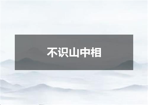 不识山中相
