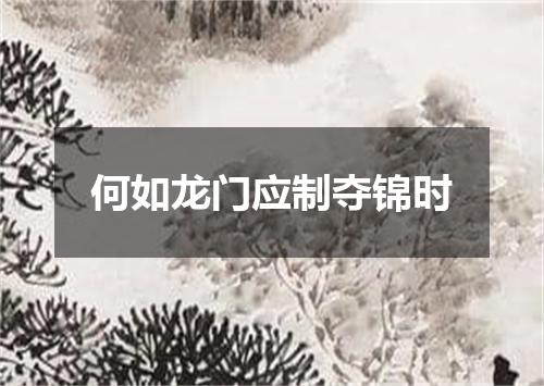 何如龙门应制夺锦时