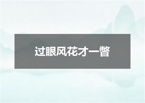 过眼风花才一瞥