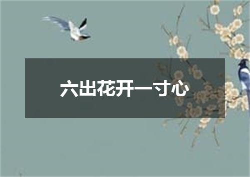 六出花开一寸心
