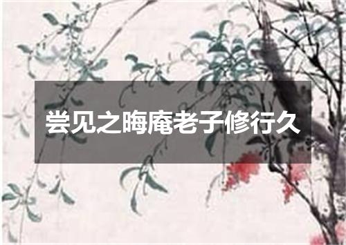 尝见之晦庵老子修行久