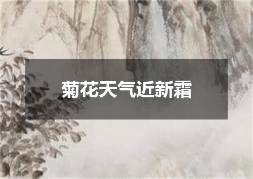 菊花天气近新霜