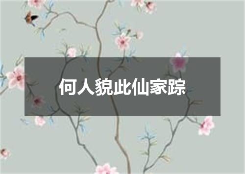何人貌此仙家踪