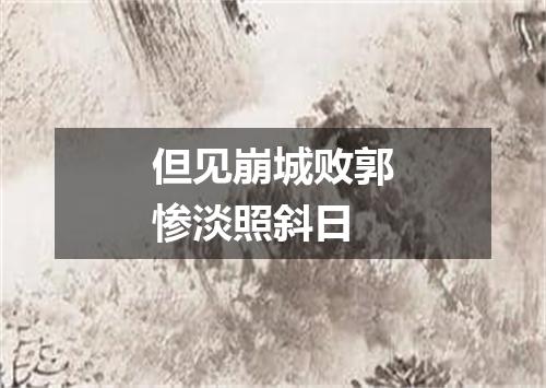 但见崩城败郭惨淡照斜日