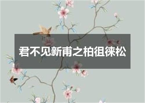 君不见新甫之柏徂徕松
