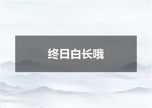 终日白长哦