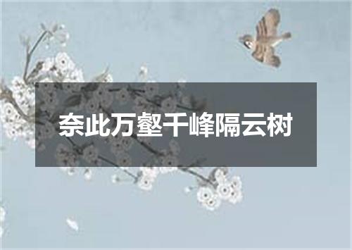 奈此万壑千峰隔云树