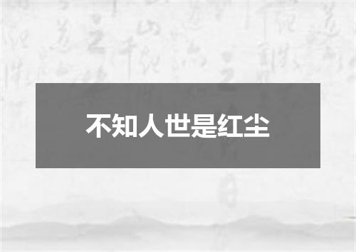 不知人世是红尘