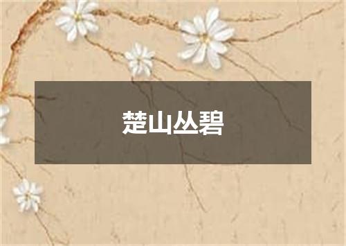 楚山丛碧