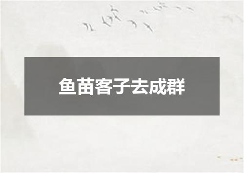 鱼苗客子去成群