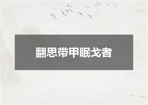 翻思带甲眠戈者