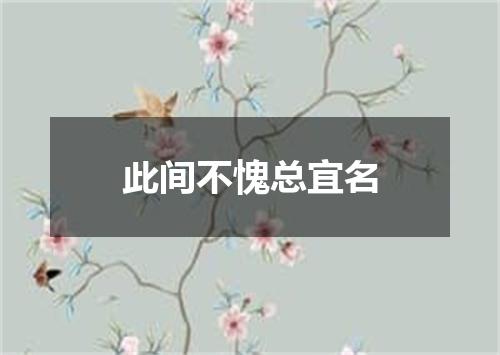 此间不愧总宜名