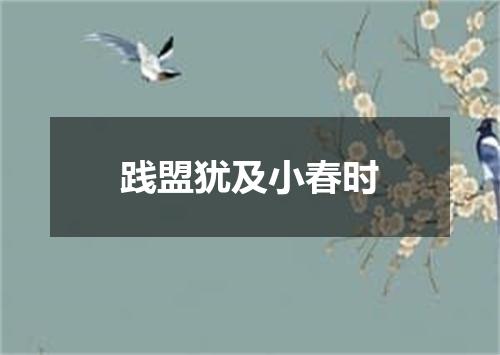 践盟犹及小春时