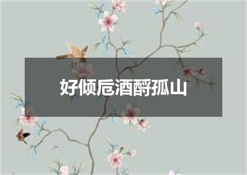 好倾卮酒酹孤山